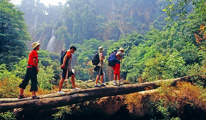 丛林之旅.jpg